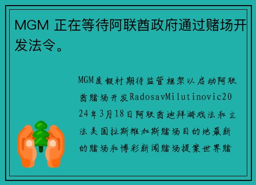 MGM 正在等待阿联酋政府通过赌场开发法令。