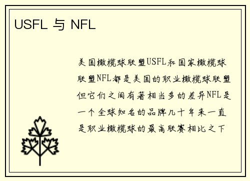 USFL 与 NFL 